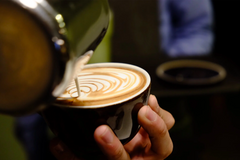 FROM THE FARM TO YOUR CUP