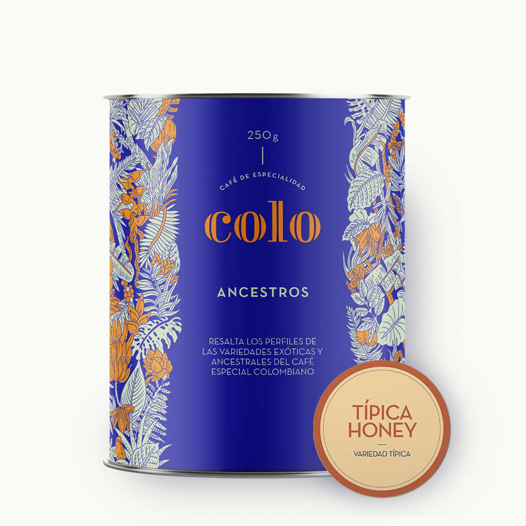TÍPICA HONEY